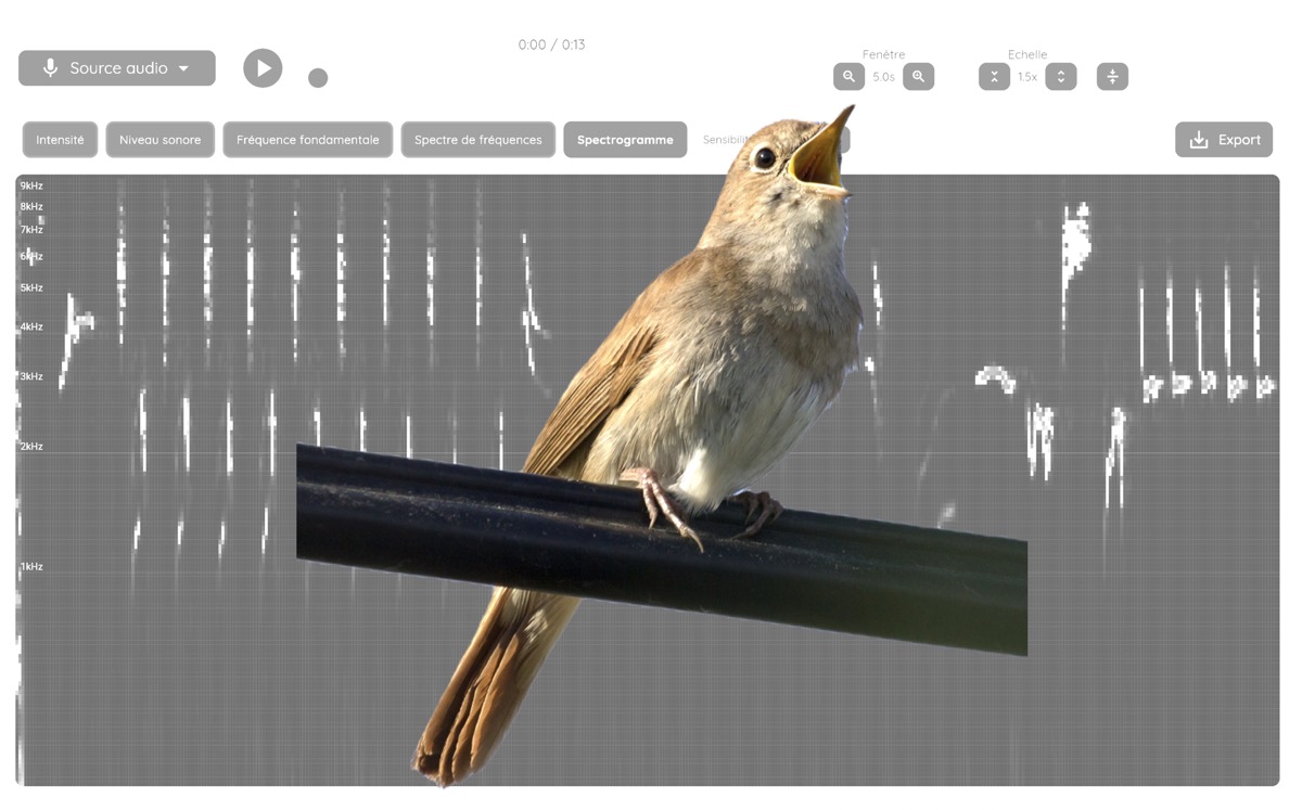 Spectrogramme du chant d'oiseau